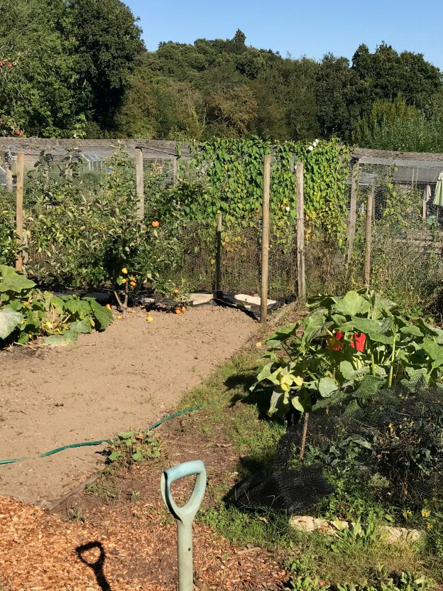 Allotments