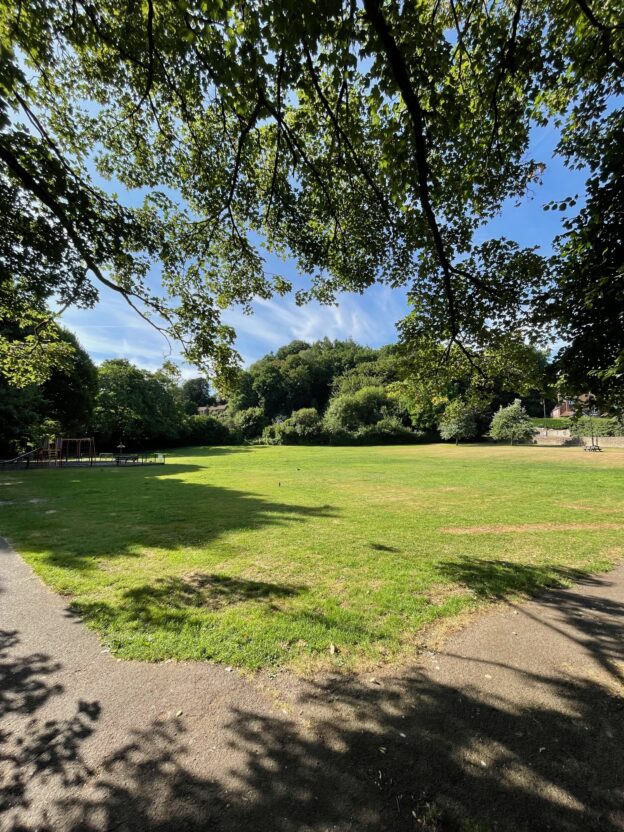 Town Meadow
